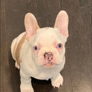 Meet your Posher, Cody